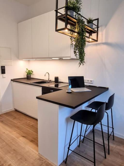 Modernes Apartment 카를스루에 외부 사진